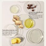  Dầu Gội Kiềm Dầu Giảm Rụng Tóc Hương Gừng Collagen Spes Ginger Collagen Shampoo 500ml. 