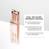  Bộ Kit 3 Cọ Mắt Vacosi – SC02 (Phiên Bản Golden Dragon). 
