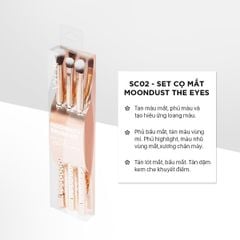  Bộ Kit 3 Cọ Mắt Vacosi – SC02 (Phiên Bản Golden Dragon). 