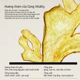  Dầu Gội Kiềm Dầu Giảm Rụng Tóc Hương Gừng Collagen Spes Ginger Collagen Shampoo 500ml. 