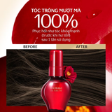  Dầu Dưỡng Tóc Cao Cấp Tsubaki Oil Force M 60ml. 