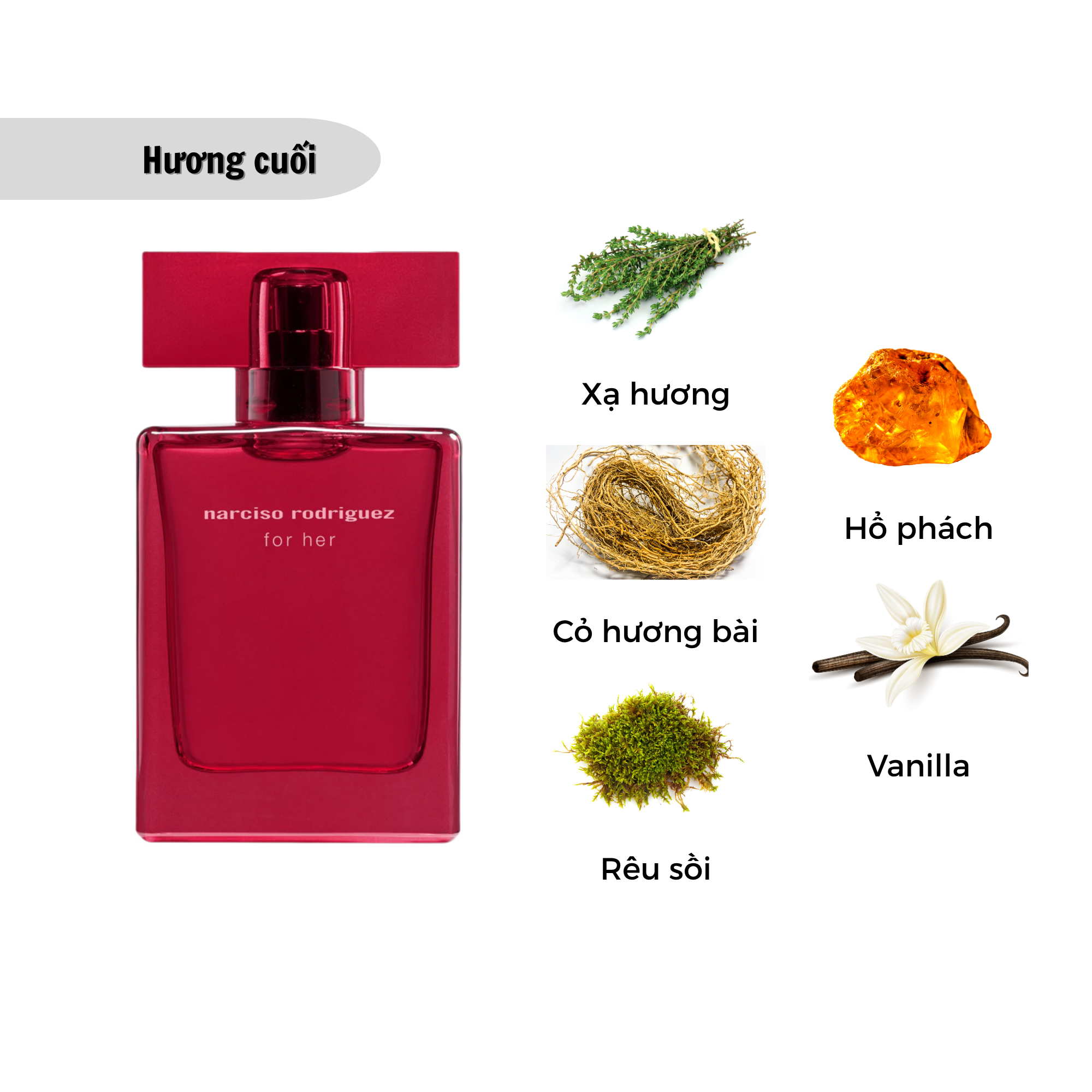 Nước Hoa Nữ Narciso Rodriguez For Her Edp Intense 30ml – AB BEAUTY