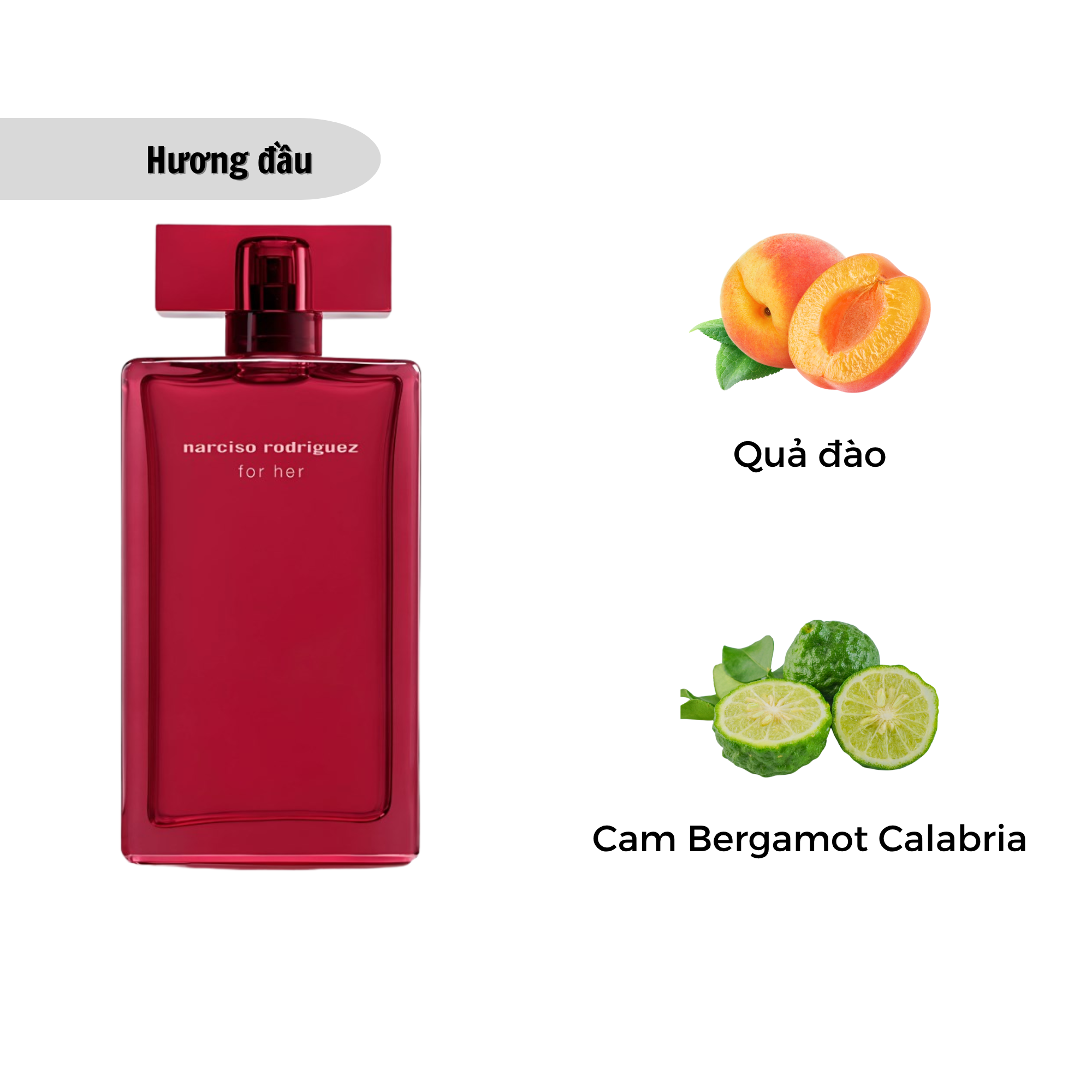 Nước Hoa Nữ Narciso Rodriguez For Her Edp Intense 100ml – AB