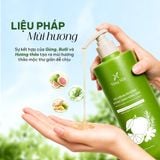  Dầu gội bưởi gừng hương thảo Nàng Mây 