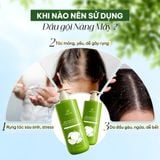  Dầu gội bưởi gừng hương thảo Nàng Mây 