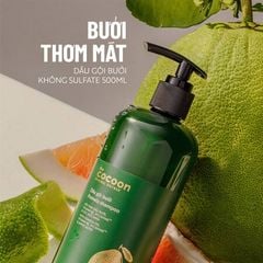  Combo 1 Dầu Gội Bưởi Cocoon 500ml Tặng 1 Gel Tắm Đường Thốt Nốt An Giang Cocoon 500ml Pomelo Shampoo + An Giang Palmyra Sugar Shower Gel 