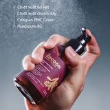  Combo Nước Dưỡng Da Đầu Bồ Kết Cocoon 140ml Và Cà Phê Đắk Lắk Làm Sạch Da Chết Cơ Thể Cocoon 200ml  Gleditsia Scalp Tonic + Dak Lak Coffee Body Polish 
