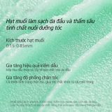  Tẩy Tế Bào Chết Da Đầu & Giảm Gàu Spes Hương Bạc Hoa Lan Phi Hair-Puffy 280G. 