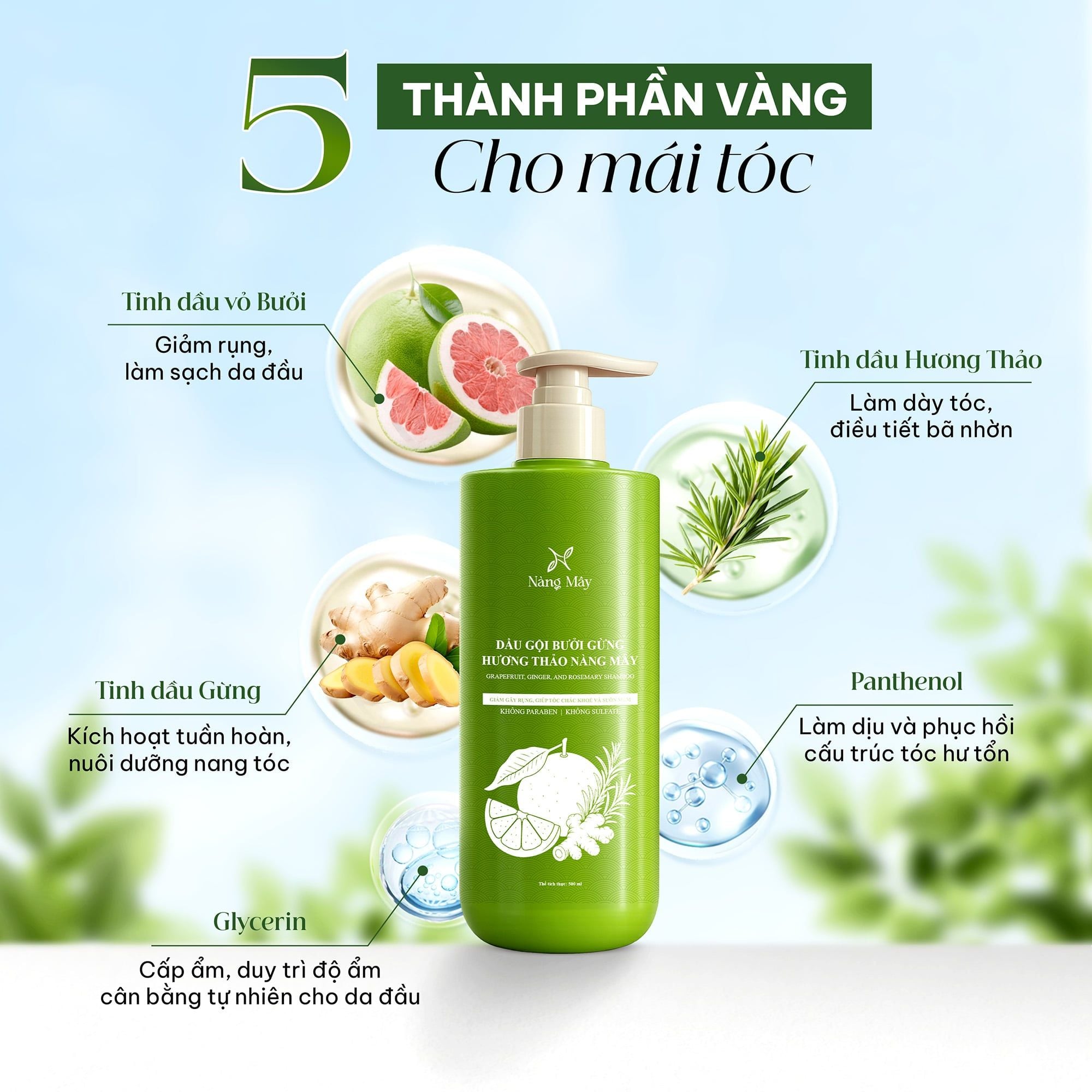  Dầu gội bưởi gừng hương thảo Nàng Mây 