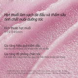  Tẩy Tế Bào Chết Da Đầu & Giảm Gàu Spes Hương Bưởi Nho Đen Hair-Moisterizing 280G. 