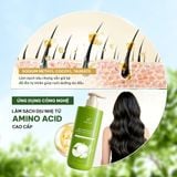  Dầu gội bưởi gừng hương thảo Nàng Mây 