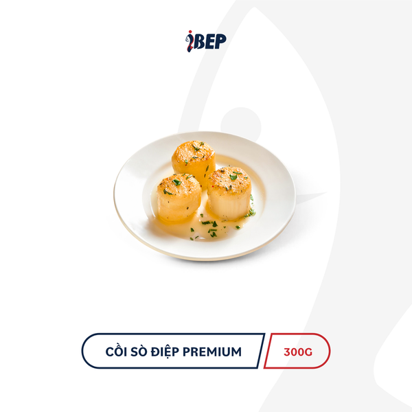 Cồi Sò Điệp Nhật Size Premium (size 23g up)