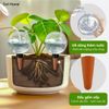 Quả cầu nước dụng cụ tưới cây tự động nhỏ giọt cho cây trồng trong nhà, ngoài trời