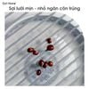 Cửa lưới ngăn gián bọ côn trùng rèm cửa lưới nam châm ngăn muỗi dán Velcro tiện lợi