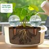 Quả cầu nước dụng cụ tưới cây tự động nhỏ giọt cho cây trồng trong nhà, ngoài trời