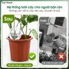 Quả cầu nước dụng cụ tưới cây tự động nhỏ giọt cho cây trồng trong nhà, ngoài trời