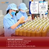 Cốt Gừng Tràm Trà Muối Epsom 550ml, Thương Hiệu Nanosalt Nghệ An