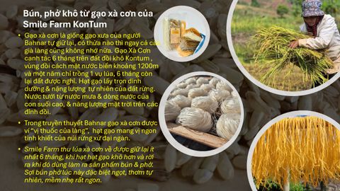 Combo 02 Túi Bún Gạo Khô Từ Gạo Xà Cơn Đỏ Tỷ lệ Cám 70% (250gr x 2), Smile Farm KonTum