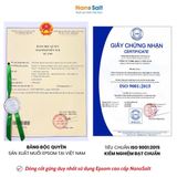 Cốt Gừng Tràm Trà Muối Epsom 550ml, Thương Hiệu Nanosalt Nghệ An
