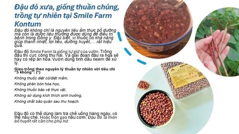 Smile Farm KonTum - Đậu Đỏ Nguyên Hạt 500gr, Canh Tác Thuần Tự Nhiên