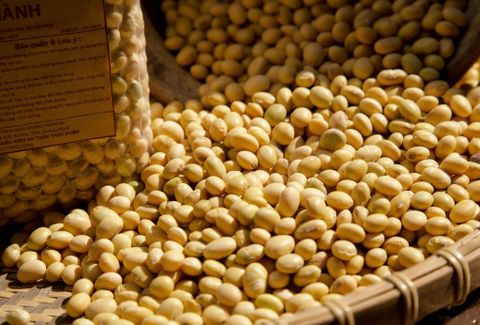 Smile Farm KonTum - Đậu Nành Thuần chủng 500gr, Canh Tác Thuần Tự Nhiên.