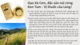 Combo 02 Túi Bún Gạo Khô Từ Gạo Xà Cơn Đỏ Tỷ lệ Cám 70% (250gr x 2), Smile Farm KonTum