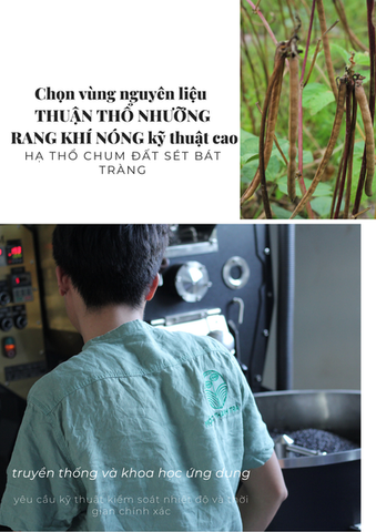 Combo 2 Túi Trà Đậu Đen Xanh Lòng Rang Mộc & Cỏ Ngọt (500gr x 2), Hạt Rời