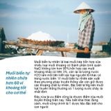 Muối Hột Biển - Muối Sạch Phơi Cát Truyền Thống Quỳnh Lưu, NanoSalt Nghệ An (1kg)