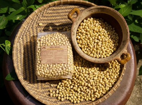 Smile Farm KonTum - Đậu Nành Thuần chủng 500gr, Canh Tác Thuần Tự Nhiên.