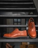 Oxford 2.0 Phylon Pullup