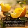 Tinh Dầu Thơm Phòng Phối Hương Trà Quýt Yuzu (Yuzu Tea) Xông Phòng HENY GARDEN