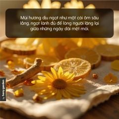 Tinh Dầu Thơm Phòng Phối Hương Trà Thảo Mộc (Herbal Tea) Xông Phòng HENY GARDEN