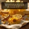 Tinh Dầu Thơm Phòng Phối Hương Trà Thảo Mộc (Herbal Tea) Xông Phòng HENY GARDEN
