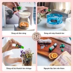 Tinh Dầu Thơm Phòng Phối Hương Trà Quýt Yuzu (Yuzu Tea) Xông Phòng HENY GARDEN