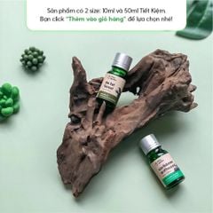 Tinh Dầu Thơm Phòng Phối Hương Trà Thảo Mộc (Herbal Tea) Xông Phòng HENY GARDEN
