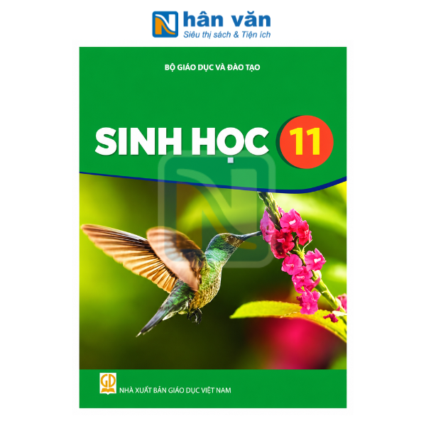 Sinh Học Lớp 11 - Kết Nối Tri Thức - 2026 - nhanvan.vn