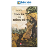  Sinh Ra Từ Đồng Cỏ 