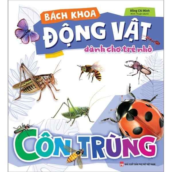  Bách Khoa Động Vật Dành Cho Trẻ Nhỏ - Côn Trùng (Tái Bản 2025) 