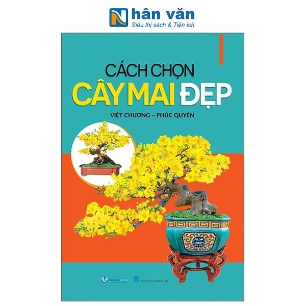 Cách Chọn Cây Mai Đẹp - nhanvan.vn
