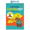  Cách Chọn Cây Mai Đẹp 