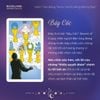  Hỏi Bằng Tarot - Trả Lời Bằng Tâm Lý Học 