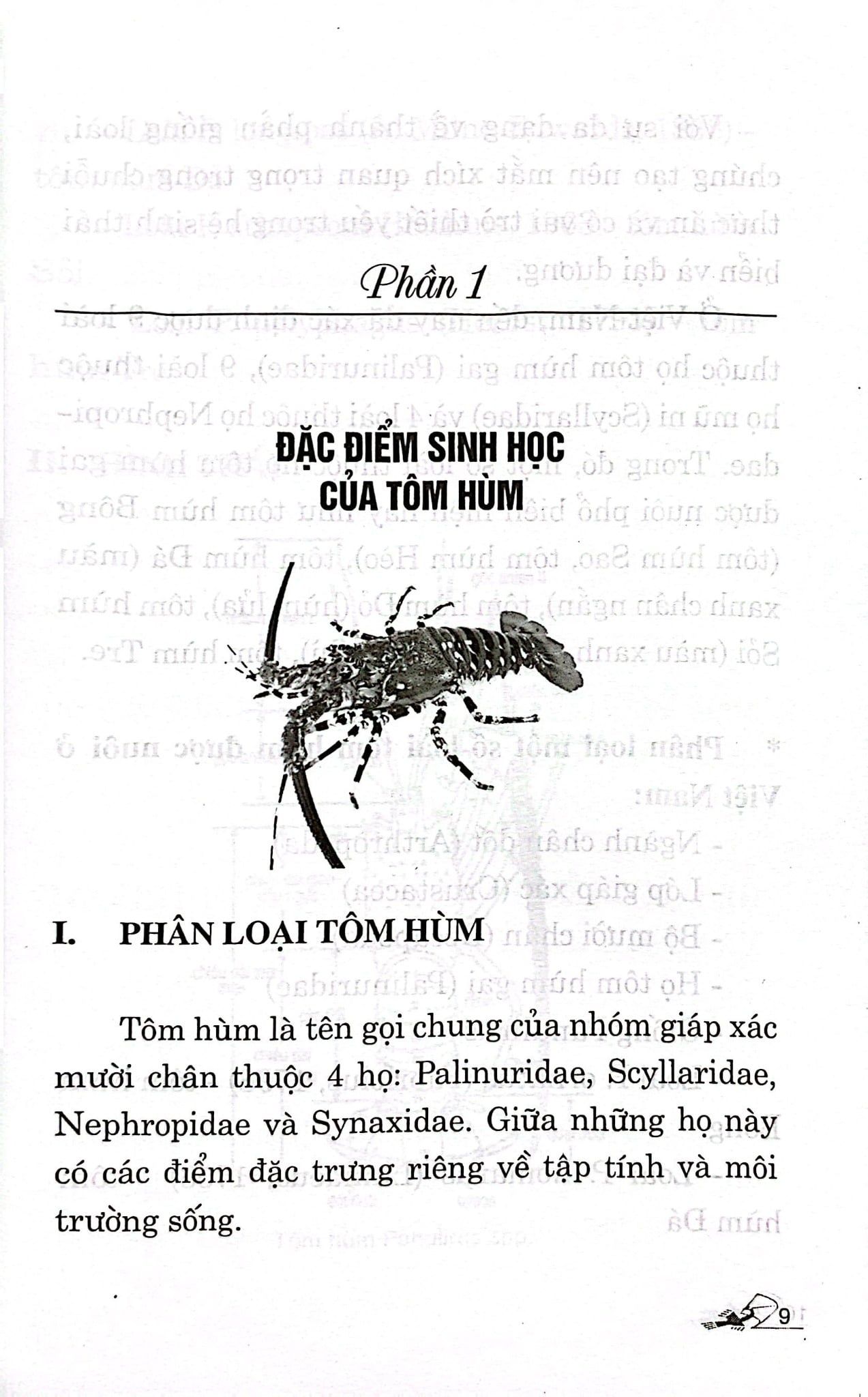  Kỹ Thuật Nuôi Tôm Hùm 