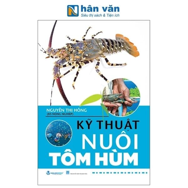  Kỹ Thuật Nuôi Tôm Hùm 