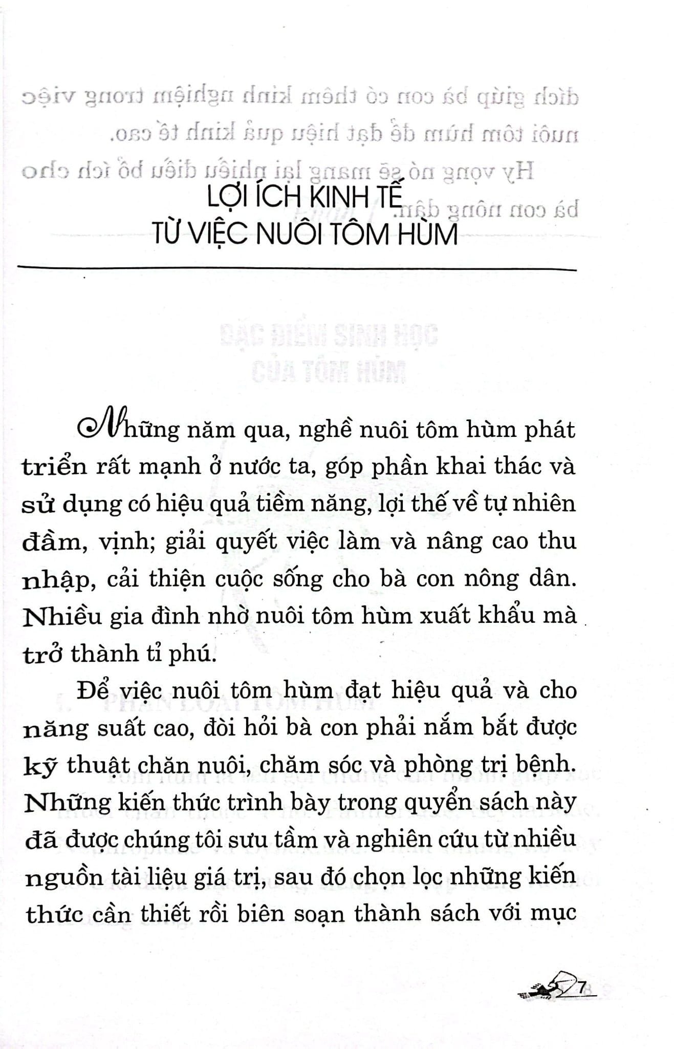  Kỹ Thuật Nuôi Tôm Hùm 