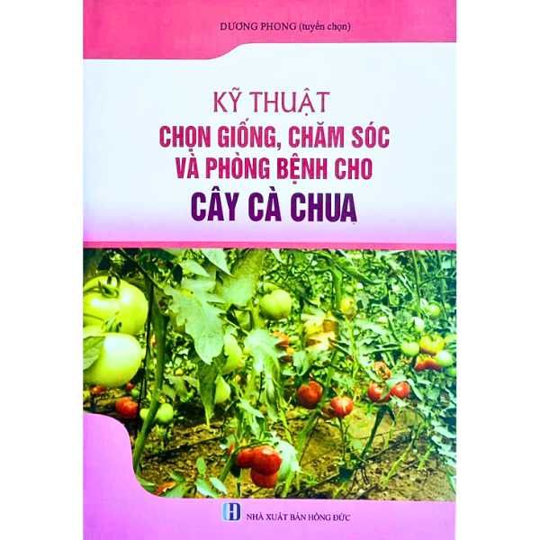 Kỹ Thuật Chọn Giống, Chăm Sóc Và Phòng Bệnh Cho Cây Cà Chua 