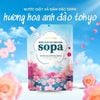  Nước Giặt Xả Sopa Đậm Đặc Hương Anh Đào Tokyo Túi 3.4kg 
