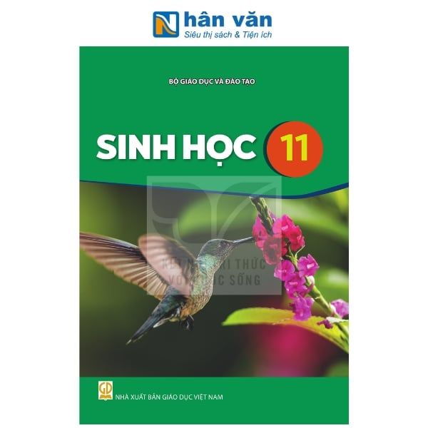 Sinh Học Lớp 11 - Kết Nối Tri Thức - 2026 - nhanvan.vn