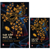  Sau Lớp Mặt Nạ - Truyện Nàng Jean Muir 