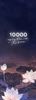  10000 Ngày Đến Với Thế Gian 