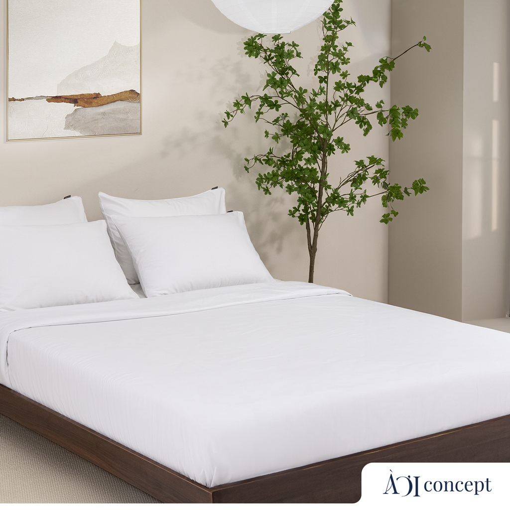 Chăn mền trơn khách sạn cao cấp 4 sao | T250 | 140x200cm, 160x200cm, 180x200cm, 200x220cm